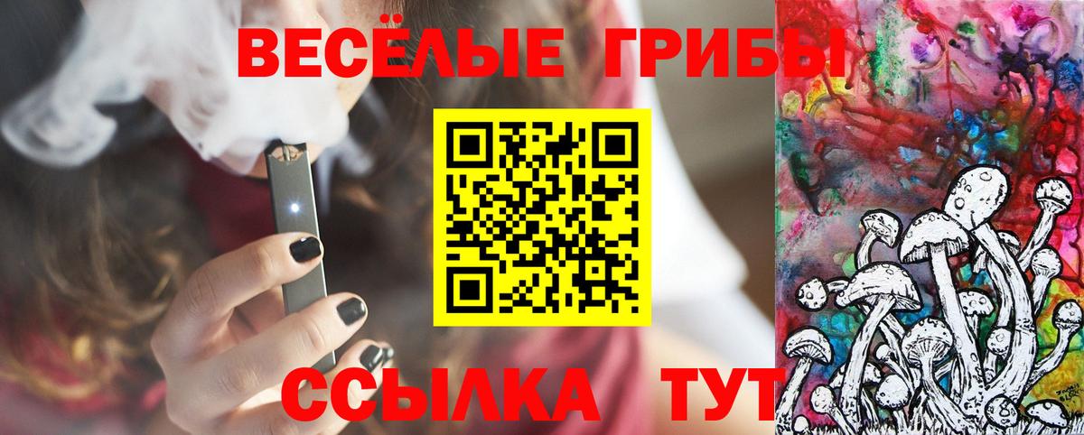 Псков  Галлюциногенные грибы мухоморы  Вход с VPN 