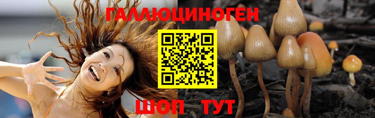 Галлюциногенные грибы прущие грибы Псков